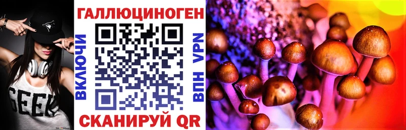 Псилоцибиновые грибы GOLDEN TEACHER  Котельниково 